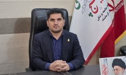 ارائه خدمات پزشکی رایگان با اجرای طرح ملی «شهید سلامی» در کرمانشاه