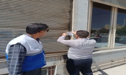 ۵ واحد غیرمجاز عرضه مرغ زنده در شهرک ظفر کرمانشاه پلمب شد