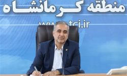 پوشش فیبر نوری در مرکز استان امسال تکمیل میشود