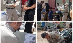 «اربعین سبز» در مسیر تردد زائران در شهرستان دالاهو اجرا می‌شود