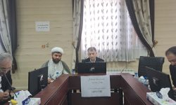 سلامت مادر و کودک در صدر دومین نشست جوانی جمعیت/ حضور مدیر مرکز «نفس» برای پیوند سیاست‌های کلان با اجرای میدانی   