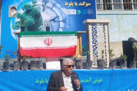 بلوط، روایت ماندگاری مردم زاگرس در دل تاریخ است
