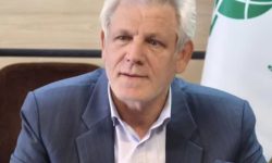 پیشبینی کشت پاییزه در ۷۰۰ هزار هکتار از اراضی کشاورزی کرمانشاه