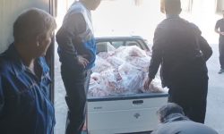 امحای بیش از ۲۳۰ کیلوگرم گوشت و آلایش غیرقابل مصرف در کرمانشاه